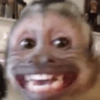 🐒✨️Chimpances Mood✨️🐒 19