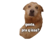 Spott The Dog 7
