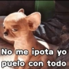 👂No me importa yo♥️ memes🔥 10