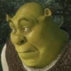 As melhores do Shrek 😹 11