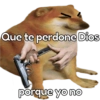 Memes Del Momento II 8