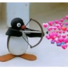 Pingu 🐧 10
