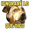 IGNORARE LO QUE OIGO