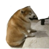 Perritos 9