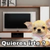Memes 2025 26