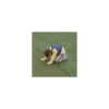 K-POP TANTRUM 16