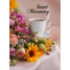 Good morning 11