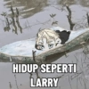 HIDUP SEPERTI LARRY