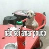 Shitposts que vcs amam 🤣🤣 5