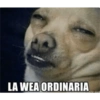 Ola 7