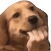 Memes aleatórios  5