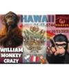 🌴🐒Monkey Crazy🐒🌴 🔥金Montana金🔥 23