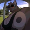 Random & Furry 13