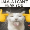 Meme kucing 8