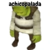 Shrek  15