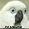 Drogas 18
