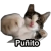 Puñito 🤓 8