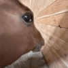Nu vai tomando 8