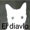 Respuesta aleatoria 0 5