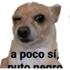 Shitpost3 7