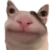 Memes 2025 15