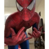Homem aranha 15