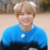 EN-Cute 20