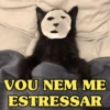 VOU NEM ME ESTRESSAR