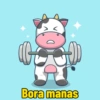 Bora manas