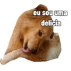 Spott The Dog 6