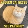 ALGUÉM CAI NESSE SEU PAPINHO?