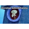 menatap kebodohanmu
