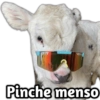 Pinche menso