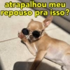 atrapalhou meu
repouso pra isso?