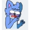 Sebas pro gatito 2020 18