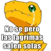 No se però las lagrimas saleń solás