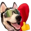 🐱Animalitos random🐕 16