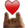 Corazones heart 29