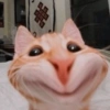 +