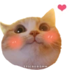 STICKERSMN