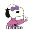 JOE Excelente