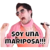 SOY UNA MARIPOSA!!!