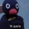 O 00 Ni quería