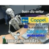 buen dia señor le hablo de Coppel. PARA QUE PASE A ABONAR EL alcatel del que publica tantas mamadas