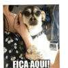 FICA AQUI!