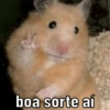 boa sorte ai