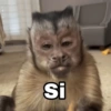 Si