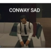 D: 84 CONWAY SAD