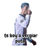 te boy a vergiar puta