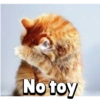 No toy